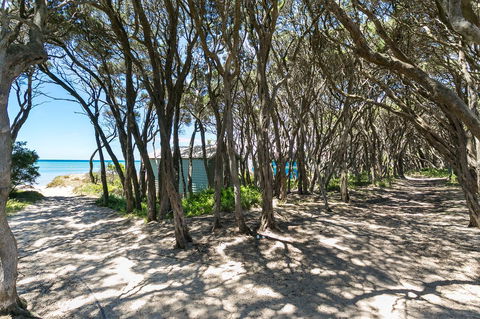 Perfect Blairgowrie Beach House - Accommodation Directory 17