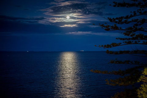 The Sebel Brisbane Margate Beach - Accommodation Directory 31