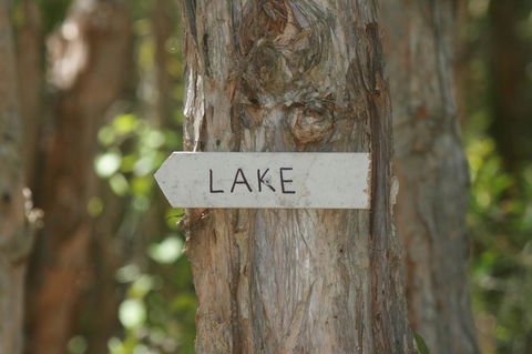 Lake Weyba Noosa Lodge & Kangaroos - Accommodation Directory 36