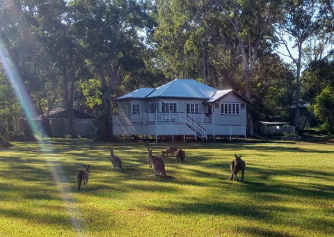 Lake Weyba Noosa Lodge & Kangaroos - Accommodation Directory 0