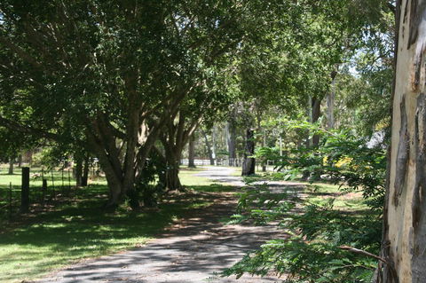 Lake Weyba Noosa Lodge & Kangaroos - Accommodation Directory 34