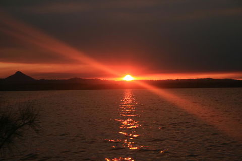 Lake Weyba Noosa Lodge & Kangaroos - Accommodation Directory 41