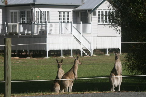 Lake Weyba Noosa Lodge & Kangaroos - Accommodation Directory 28