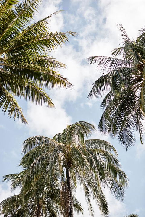 Novotel Cairns Oasis Resort - Accommodation Directory 9