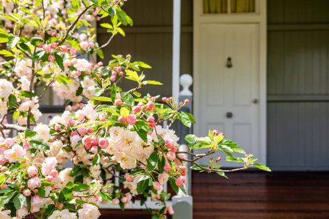 Apple Blossom Cottages - Accommodation Directory 2