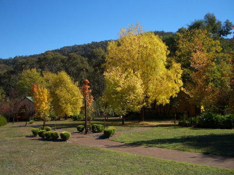 Willowlake Cottages - Accommodation Directory 0