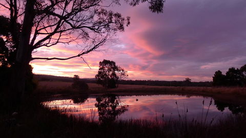 Wind Song Bed & Breakfast - Accommodation Directory 0
