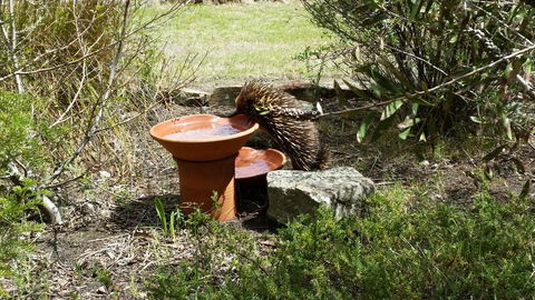 Wind Song Bed & Breakfast - Accommodation Directory 3
