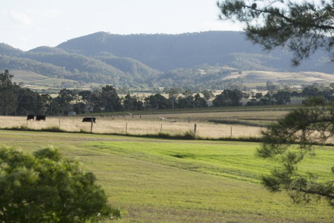 Windarra Lodge - Accommodation Directory 3