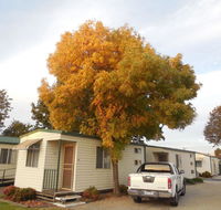 Wodonga Caravan  Cabin Park - Accommodation Directory