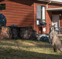 Wonderland Cottages - Accommodation Directory