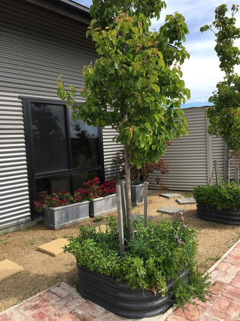 Woolamai Dreaming - Accommodation Directory 2