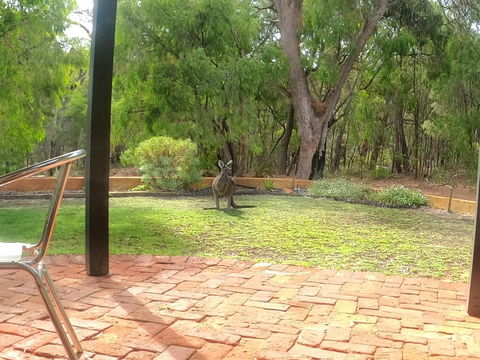 Yallingup Pet Friendly Bush Retreat - Accommodation Directory 3