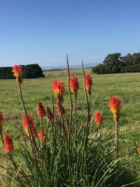 Yanakie Holiday House - Accommodation Directory 2