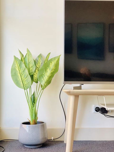 ZEN Homes On Collins - Accommodation Directory 3
