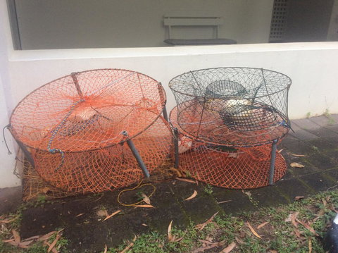 Cairns Beach House Our Oasis - Accommodation Directory 43