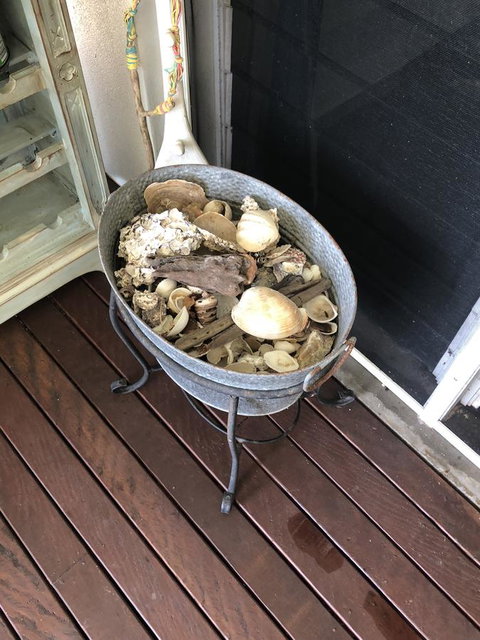 Cairns Beach House Our Oasis - Accommodation Directory 38