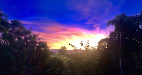 Daintree Manor B&B - Accommodation Directory 3