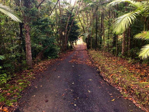 Daintree Manor B&B - Accommodation Directory 12