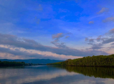Daintree Manor B&B - Accommodation Directory 9