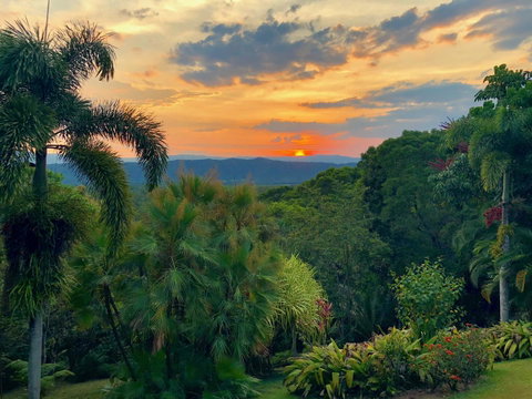 Daintree Manor B&B - Accommodation Directory 13