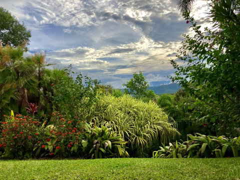 Daintree Manor B&B - Accommodation Directory 2