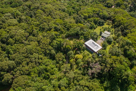 Daintree Manor B&B - Accommodation Directory 14