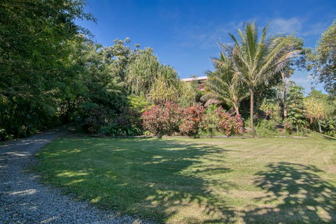 Daintree Manor B&B - Accommodation Directory 19