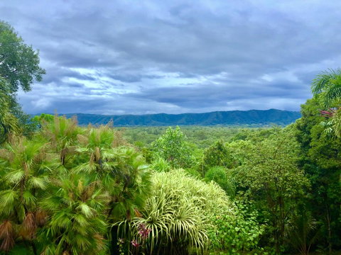 Daintree Manor B&B - Accommodation Directory 0