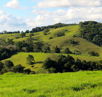Maleny Springs Farm - Accommodation Directory