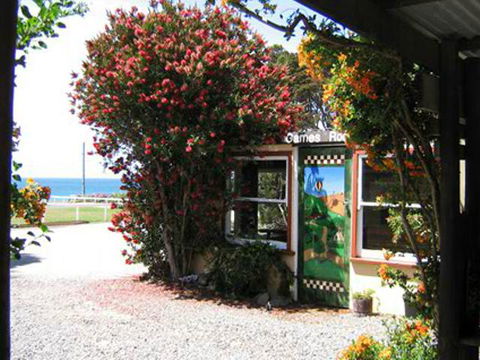 King Island Accommodation Cottages - Accommodation Directory 11