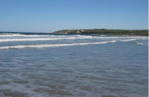 King Island Accommodation Cottages - Accommodation Directory 18