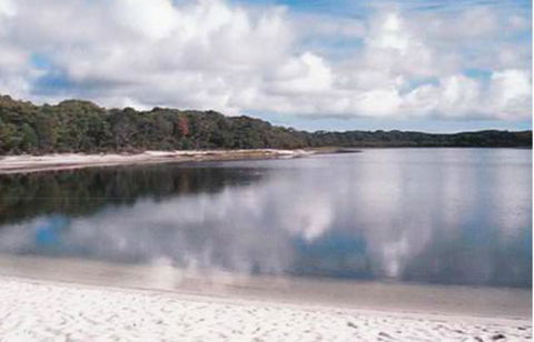 King Island Accommodation Cottages - Accommodation Directory 17