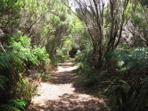 King Island Accommodation Cottages - Accommodation Directory 12