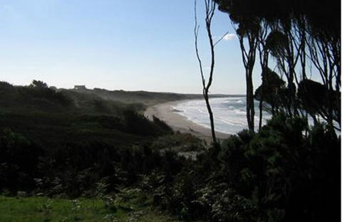 King Island Accommodation Cottages - Accommodation Directory 19