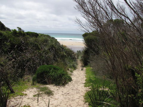 King Island Accommodation Cottages - Accommodation Directory 41