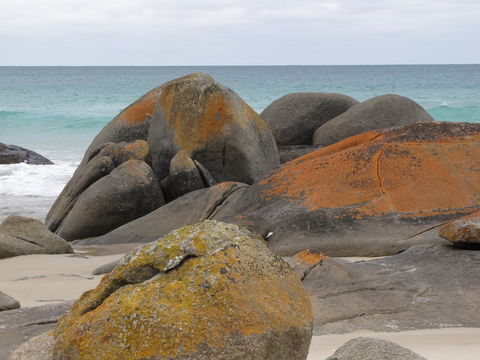 King Island Accommodation Cottages - Accommodation Directory 40