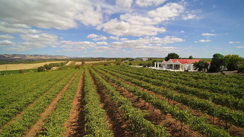 1837 Barossa Luxury Vineyard Cottages - Accommodation Directory 0