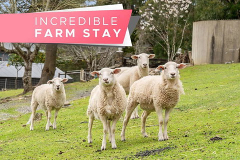 Carawatha On The Range - Unique Farm Stay - Accommodation Directory 0