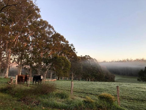 Cherswood Farm - Accommodation Directory 3