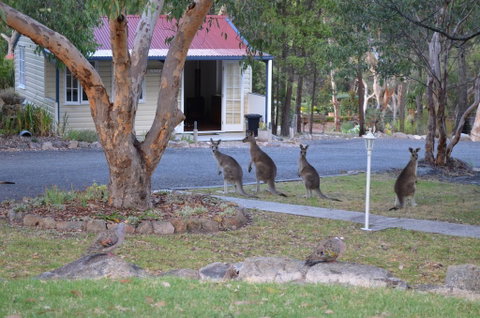 31 The Rocks - Accommodation Directory 0