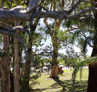 34 'Bay Parklands' 2 Gowrie Avenue - WIFI Views Pool Spa  Tennis Court - Accommodation Directory