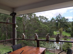 Book Gold Coast Accommodation Accommodation Directory Accommodation Directory