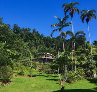 A Daintree Garden - Accommodation Directory