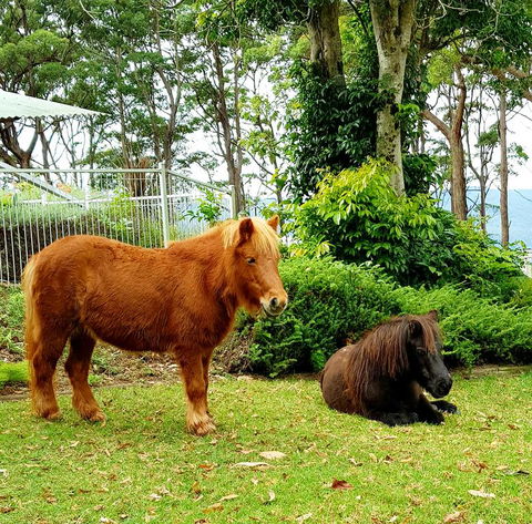 Aaronlee Retreat - Accommodation Directory 1