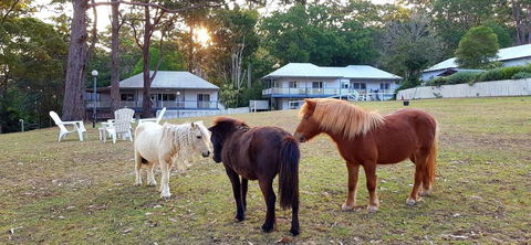 Aaronlee Retreat - Accommodation Directory 2