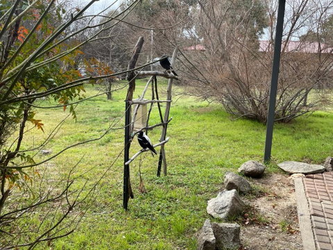 Florence Lodge - Accommodation Directory 4