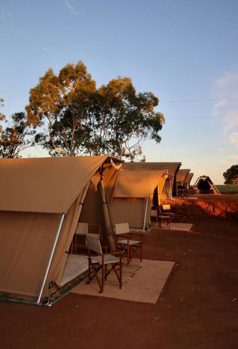 Glamping At Buckland Estate - Accommodation Directory 1