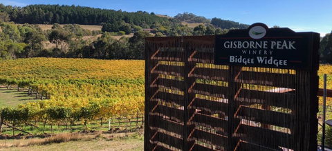 Gisborne Peak Winery Short Term Stays - Accommodation Directory 0