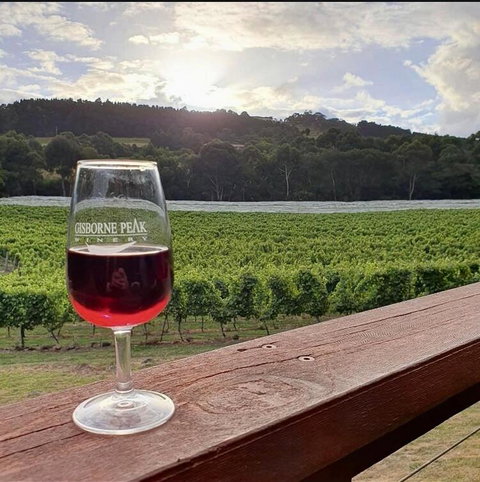 Gisborne Peak Winery Short Term Stays - Accommodation Directory 3
